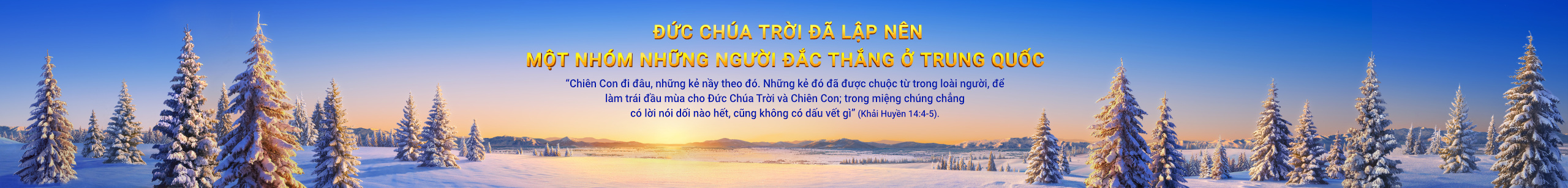 Banner-testimonies-2-pc