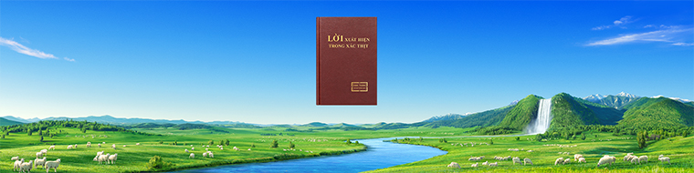 Quý vị đã thật sự tìm được con đường sự sống đời đời chưa?