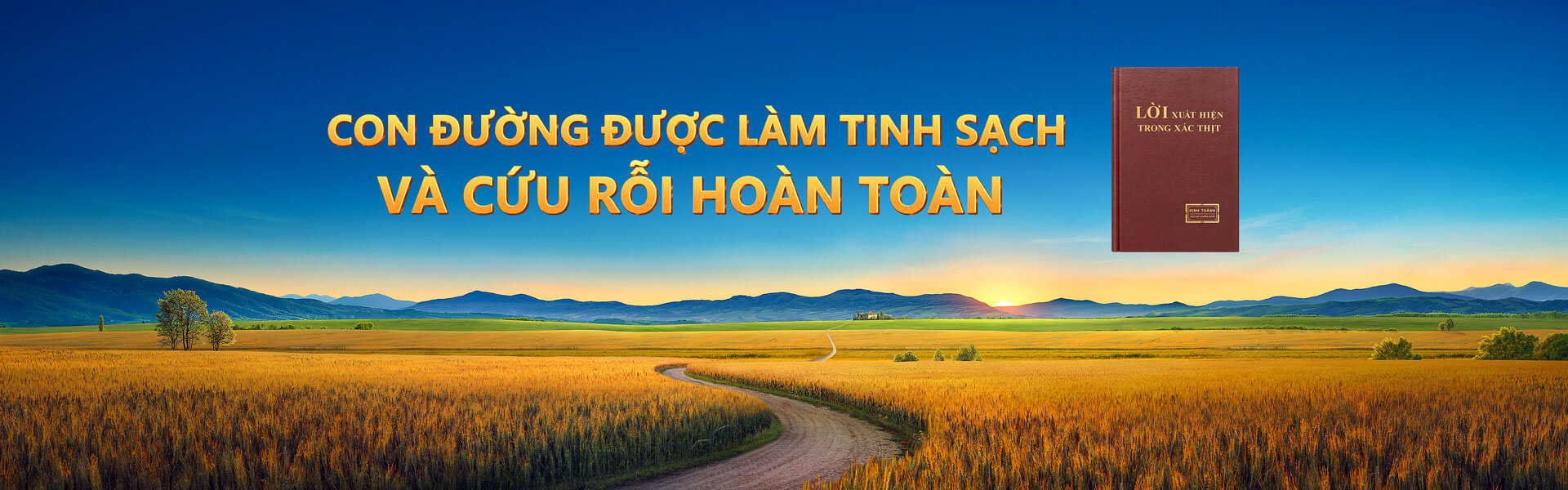 Con đường được làm tinh sạch và cứu rỗi hoàn toàn
