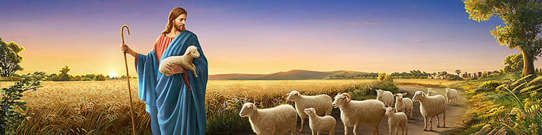 Phúc cho những ai theo kịp bước chân của Thiên Chúa