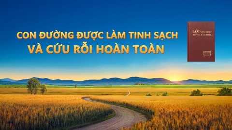 Con đường được làm tinh sạch và cứu rỗi hoàn toàn