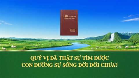 Quý vị đã thật sự tìm được con đường sự sống đời đời chưa?