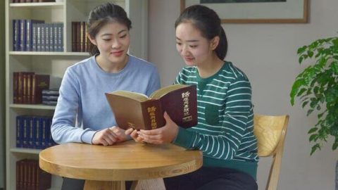 Từ bỏ thói độc đoán