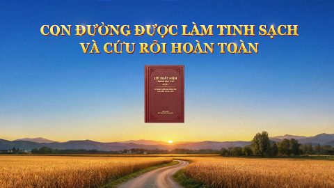 Con đường được làm tinh sạch và cứu rỗi hoàn toàn